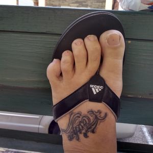 Meet your Posher, Timmy